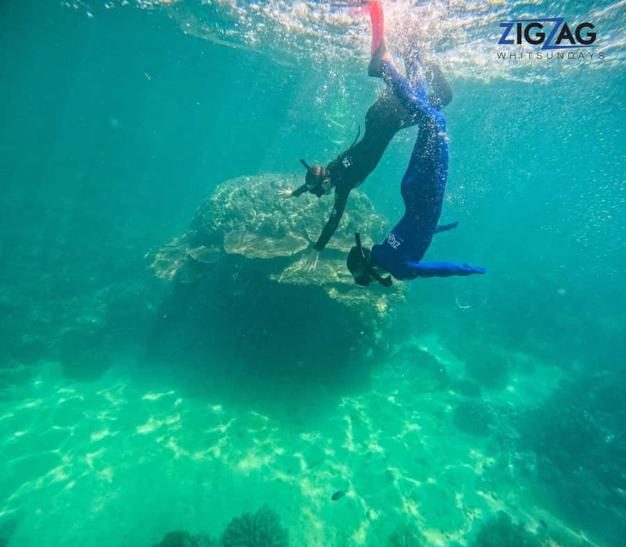 Hamilton Island: Whitsundays Sunset Dinner Cruise - Good To Know  