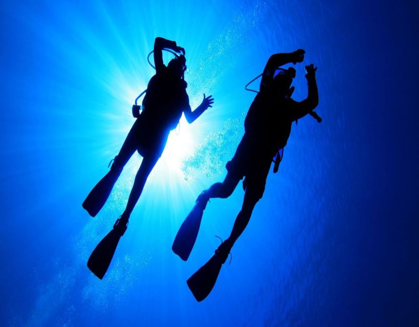 Fethiye: 2 Guided Scuba Dives with Lunch and Hotel Transfers - Who Will Love This Tour?