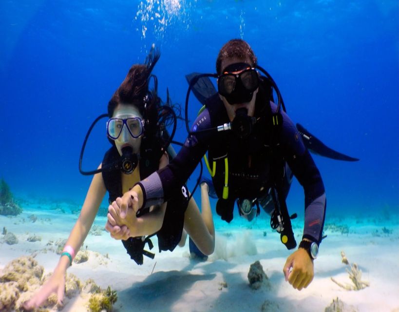 Fethiye: 2 Guided Scuba Dives with Lunch and Hotel Transfers - A Deep Dive into the Experience