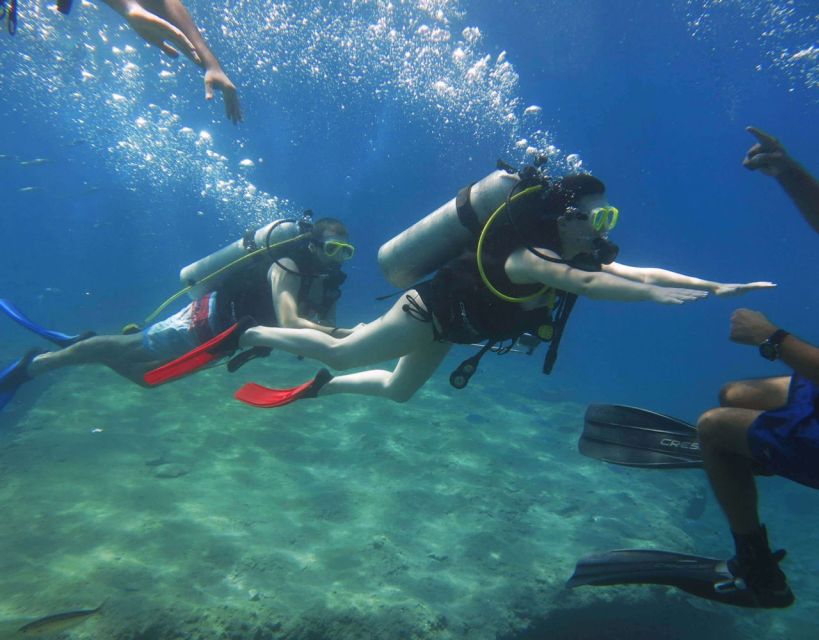 Fethiye: 2 Guided Scuba Dives with Lunch and Hotel Transfers - FAQs