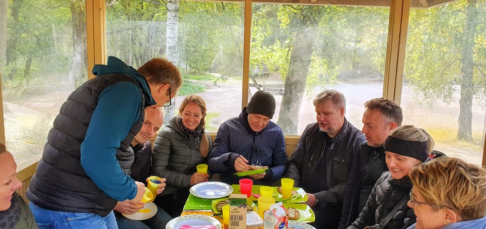 Helsinki: Bike or E-Bike Tour, BBQ, Sauna, Parks, and Forest - Practical Tips for Future Travelers