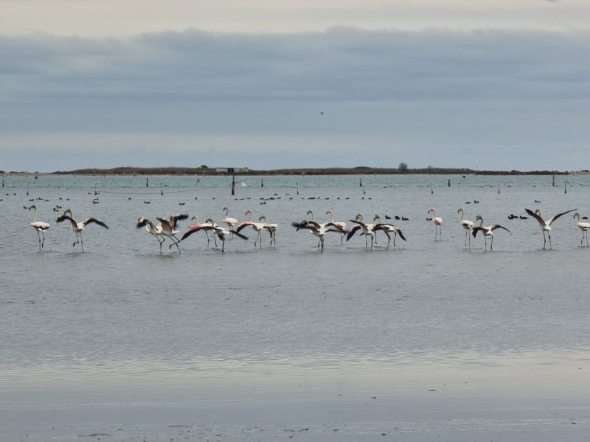 Camarles: Bike Rental - The Practicalities: What You Should Know Before Booking