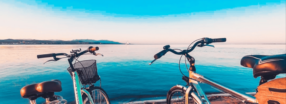 Camarles: Bike Rental - Exploring the Ebro Delta by Bike: What You Can Expect