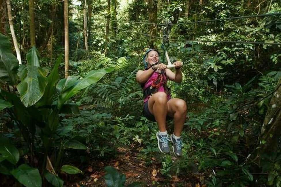 Babonneau/Castries: Rainforest Zip Line, Tram, and Hike Tour - An In-Depth Look at the Rainforest Tour
