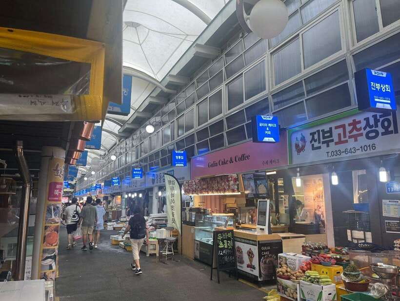 Seoul: Gangneung from K-Pop Band Bus Stop to Anmok Beach - The Experience: What to Expect on the Tour