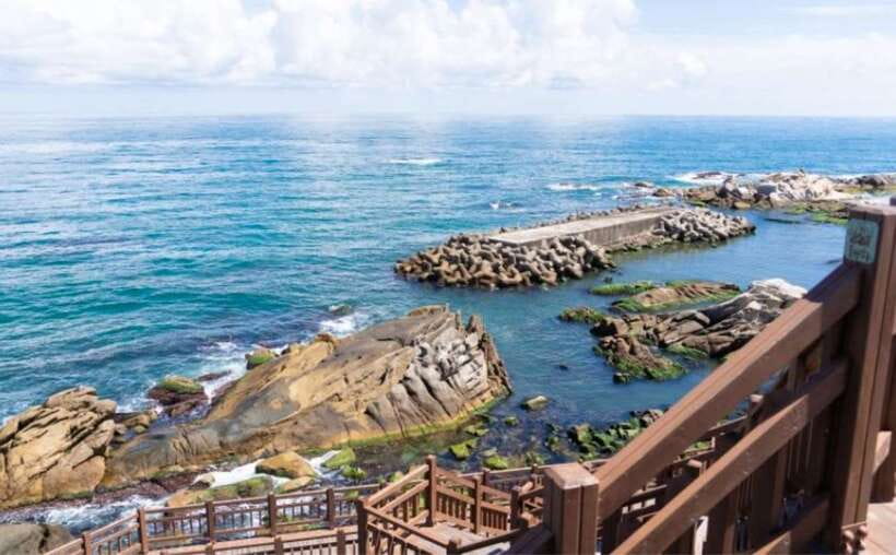 Seoul: Gangneung from K-Pop Band Bus Stop to Anmok Beach - FAQ