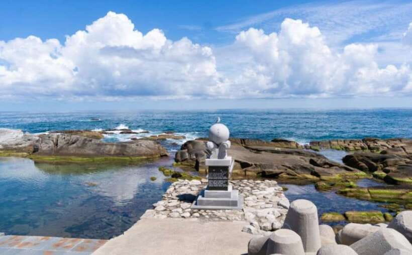 Seoul: Gangneung from K-Pop Band Bus Stop to Anmok Beach - Who Is This Tour Best For?