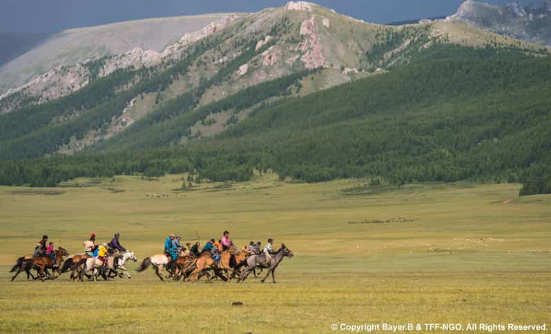 Terelj National Park: Tour with horse riding and hiking - Who Will Love This Tour?