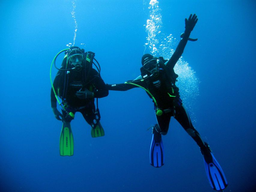 Kusadasi: Scuba Diving for Beginner or Experienced w/ Lunch - Key Points