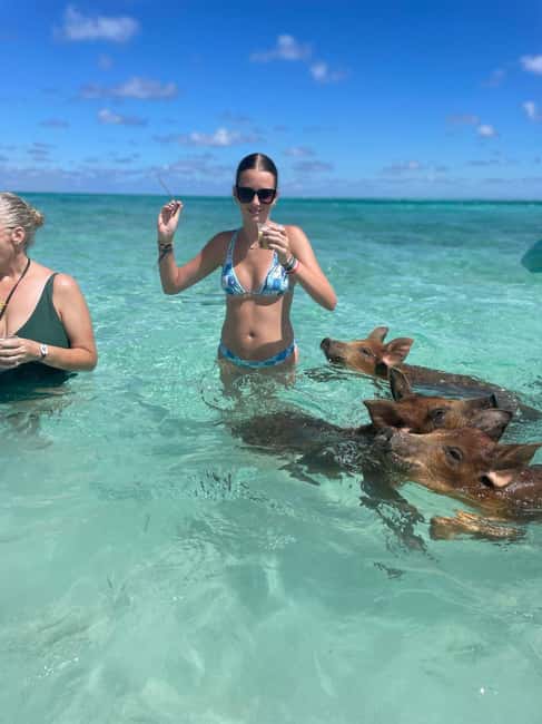 Nassau: 3-Island Snorkel Tour with Pigs, Beach Club, & Lunch - Final Thoughts: Who Is This Tour Best For?