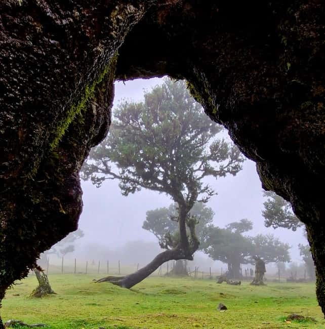 Madeira Jeep Safari Tour with Fanal Forest and Natural Pools - Who Should Consider This Tour?