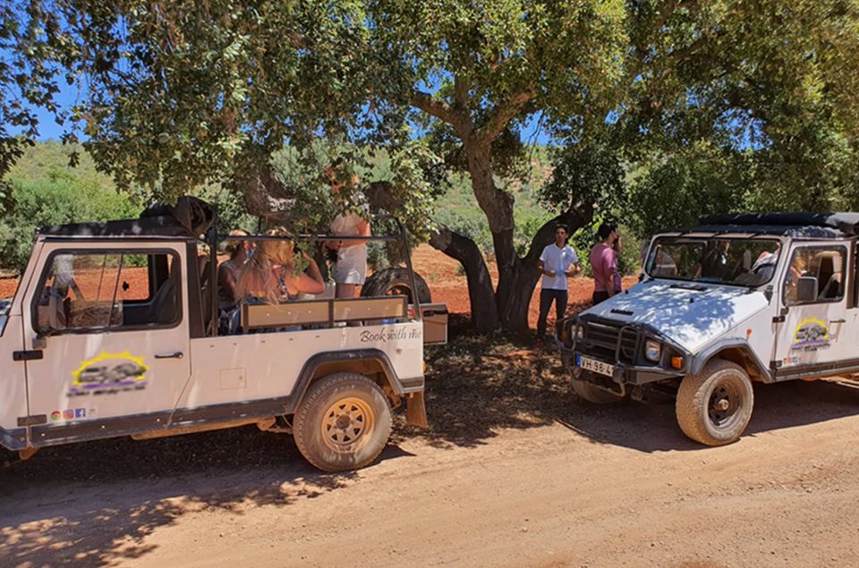 Sunset Safari in the Algarve Mountains - Final Thoughts: Who Should Consider This Tour?
