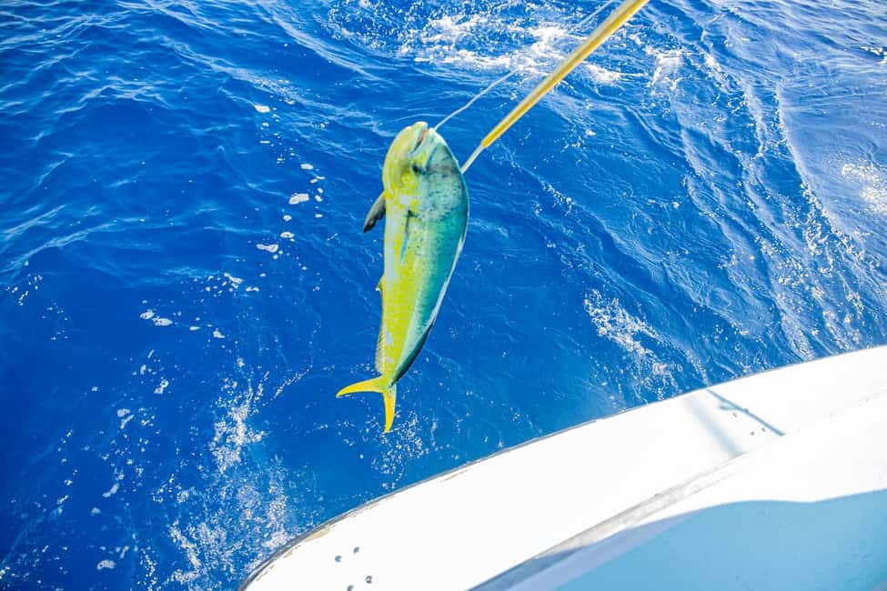 From Punta Cana: Deep Sea Fishing Tour by Boat with Drinks - Drinks and Comfort