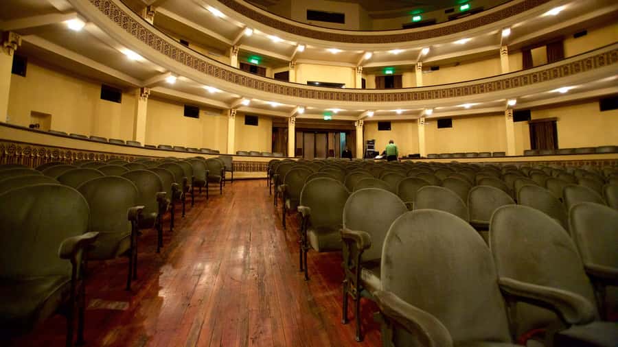 Private walking tour of Palaces and Colon Theatre - Experience the Elegance of Buenos Aires on a Private Walking Tour