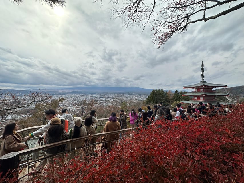 From Tokyo: Mount Fuji Full-Day Customizable Private Tour - Weather and Visibility: A Consideration