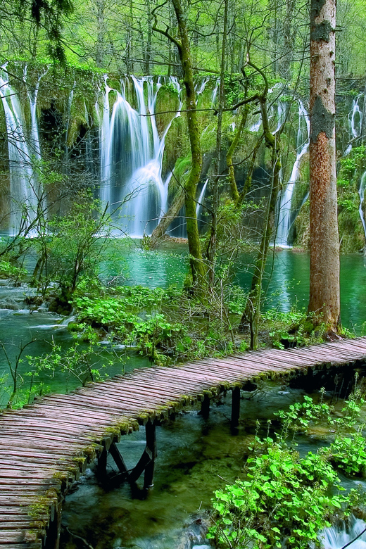 From Zadar: Plitvice Lakes Day Tour - Practical Details & Tips for Travelers