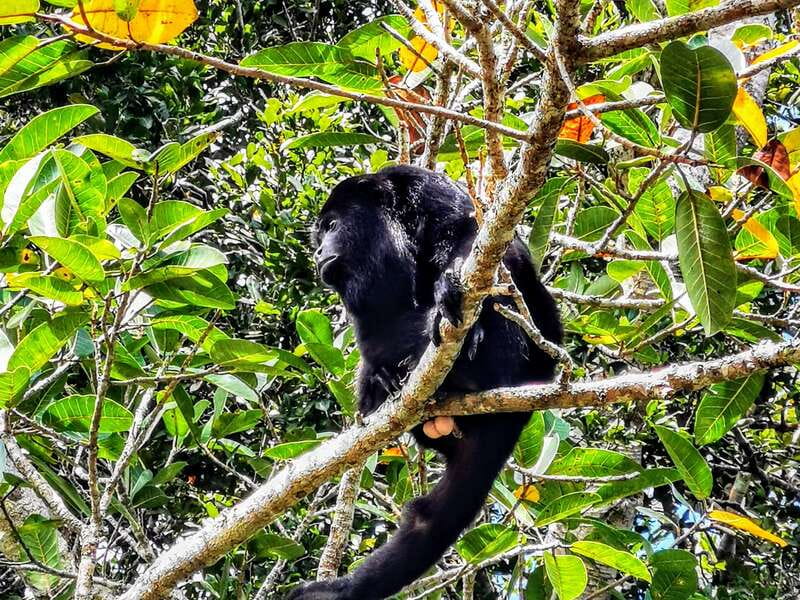 Dzibanche & Kohunlich Mayan Archeology Tour & 3 course Meal - Final Thoughts