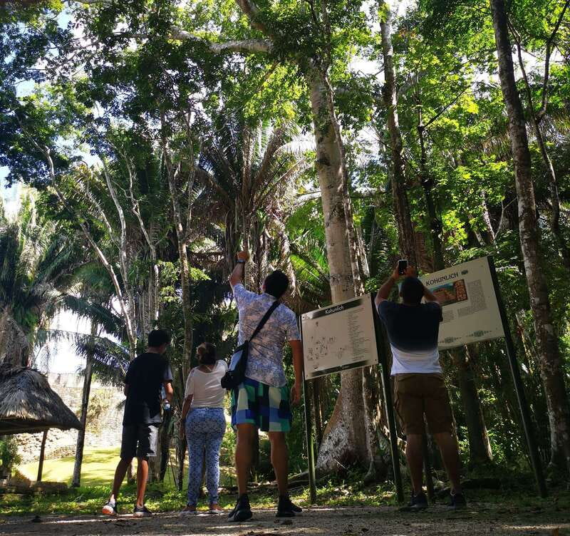 Dzibanche & Kohunlich Mayan Archeology Tour & 3 course Meal - Exploring the Itinerary in Detail