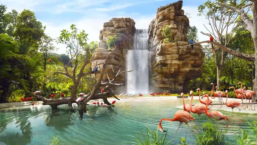 Singapore: Bird Paradise - The Sum Up  