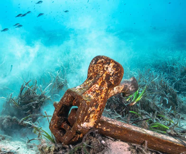 Sea-nic, Sip N Snorkel on a Semi-Submersive Seacraft - The Authentic Value of This Tour