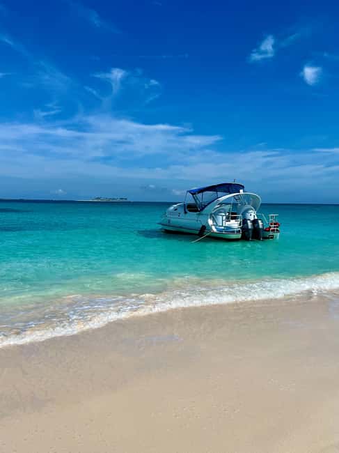Sea-nic, Sip N Snorkel on a Semi-Submersive Seacraft - Why You Should Consider This Tour