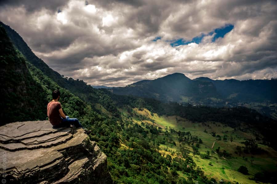 Birdwatching Day Tour at Chicaque Natural Park - Who Will Appreciate This Tour?