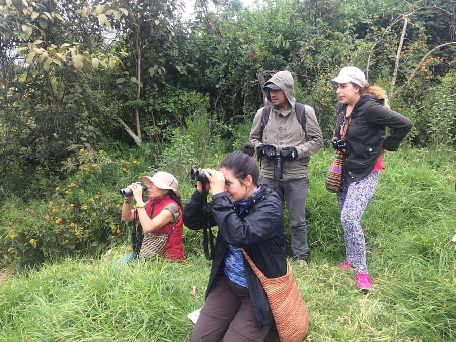 Birdwatching Day Tour at Chicaque Natural Park - What Critics Say & How It Influences Your Experience