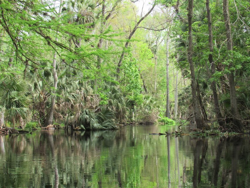 Blackwater Creek: Exclusive Nature Escape Kayak Adventure - Review Reflections and Real Experiences