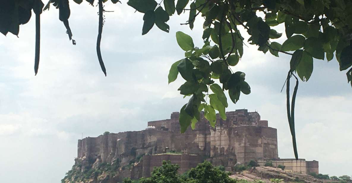 jodhpur blue city walking tour with guide - Why This Tour Is a Great Match for You