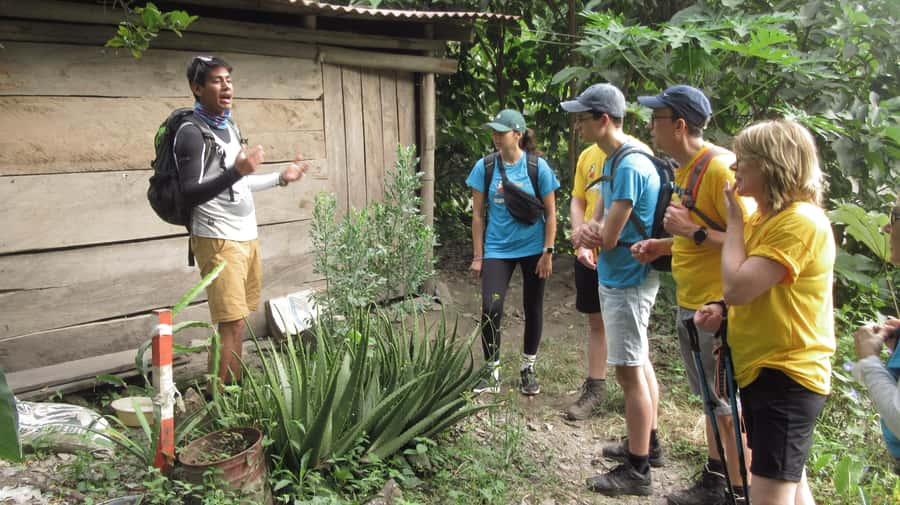 Inca Jungle Trail to Machu Picchu in 4 Days - Key Points