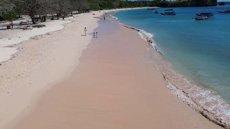 Private Tour Lombok Pink Beach and Snorkeling - An In-Depth Look at the Experience