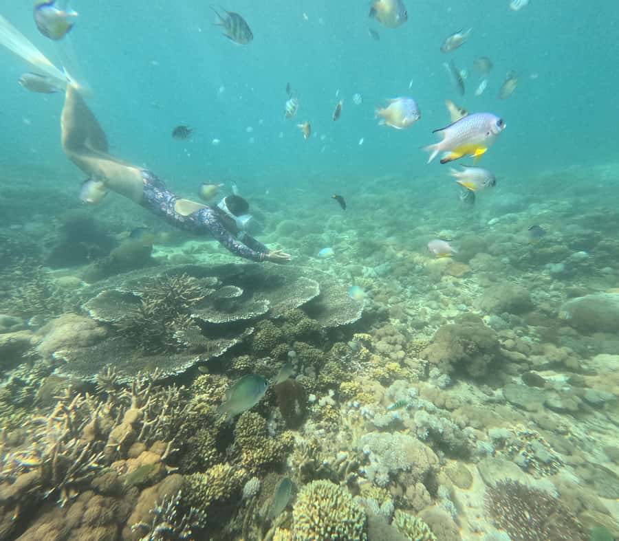 Private Tour Lombok Pink Beach and Snorkeling - Exploring the Private Tour Lombok Pink Beach and Snorkeling