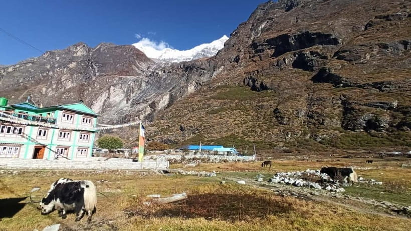 From Kathmandu: 5 Night 6 day Langtang valley trek - FAQ