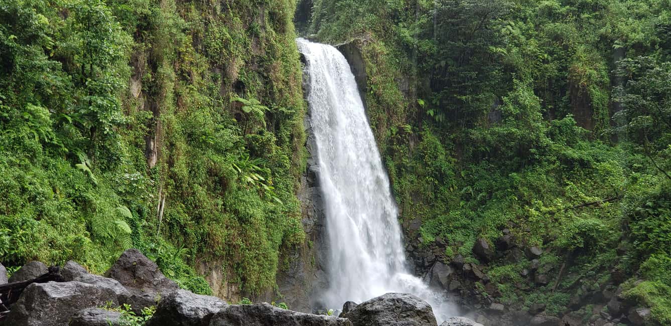 Roseau: Titou Gorge, Hot Spring, Falls & Champagne Reef Tour - Key Points