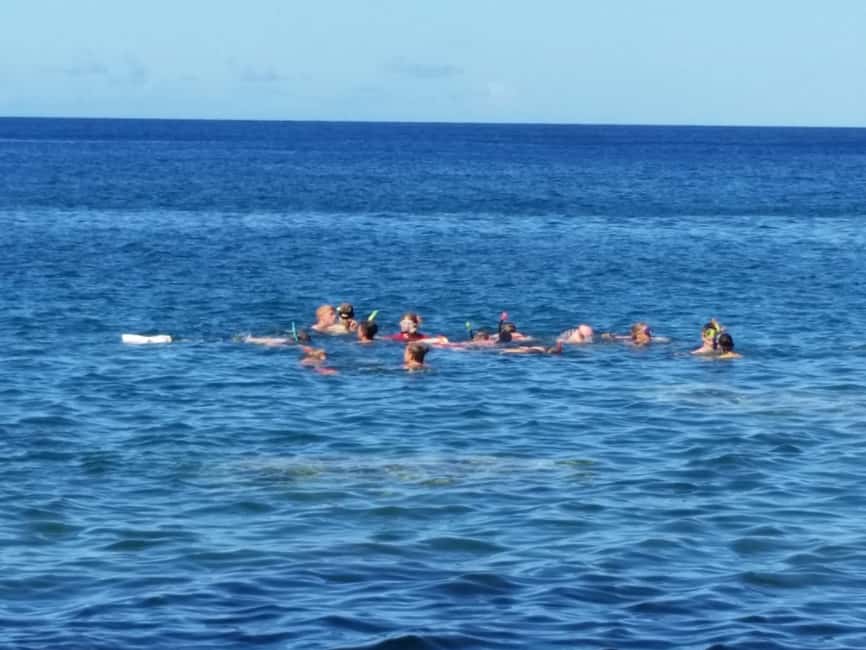 Roseau: Titou Gorge, Hot Spring, Falls & Champagne Reef Tour - Final Thoughts