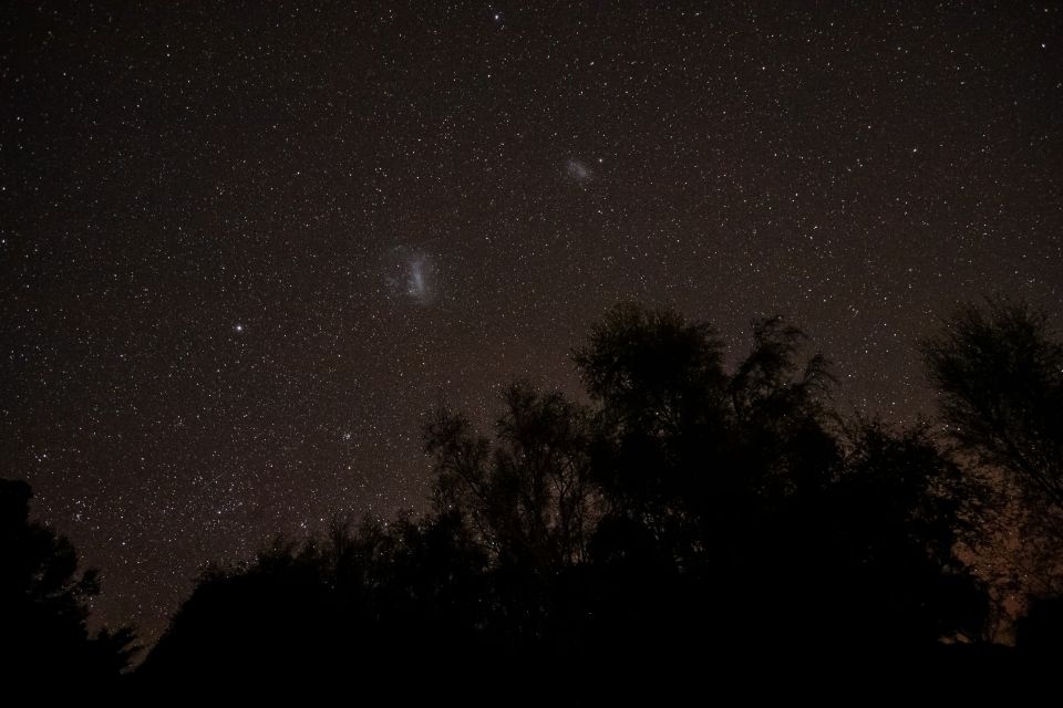 Akaroa: Stargazing Tour with 2 Telescopes & Souvenir Photos - Who Will Love This Experience?