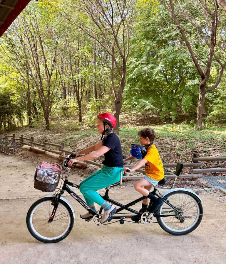 Seoul: Morning Bike Tour along the Han River with a Local - Ideal for Who?