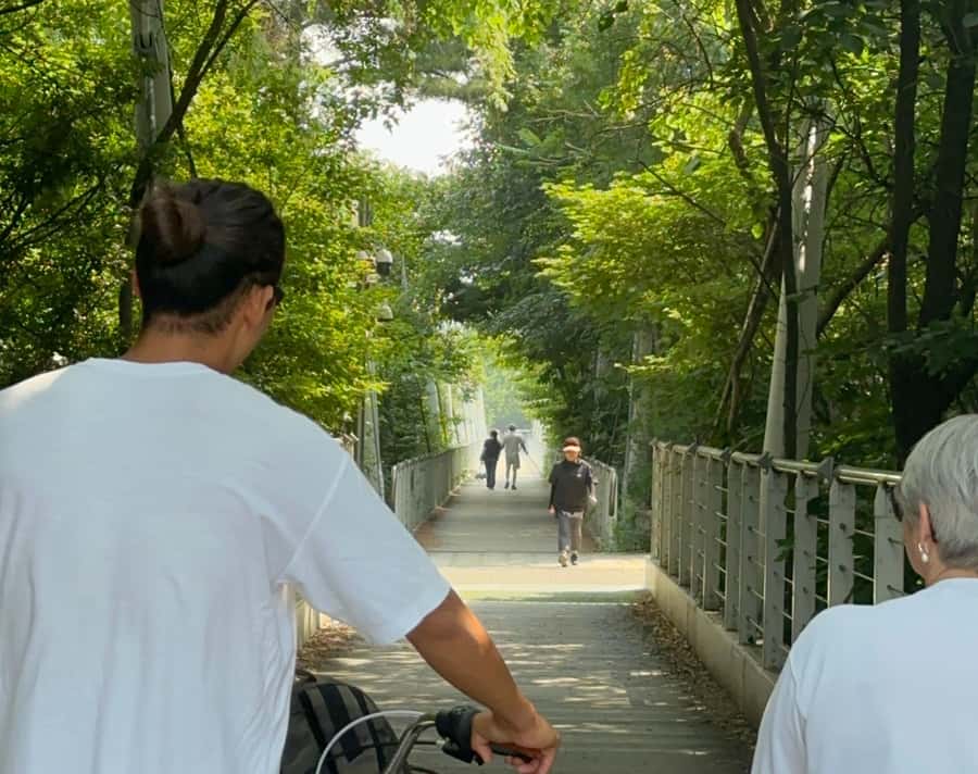 Seoul: Morning Bike Tour along the Han River with a Local - Why This Tour Offers Great Value