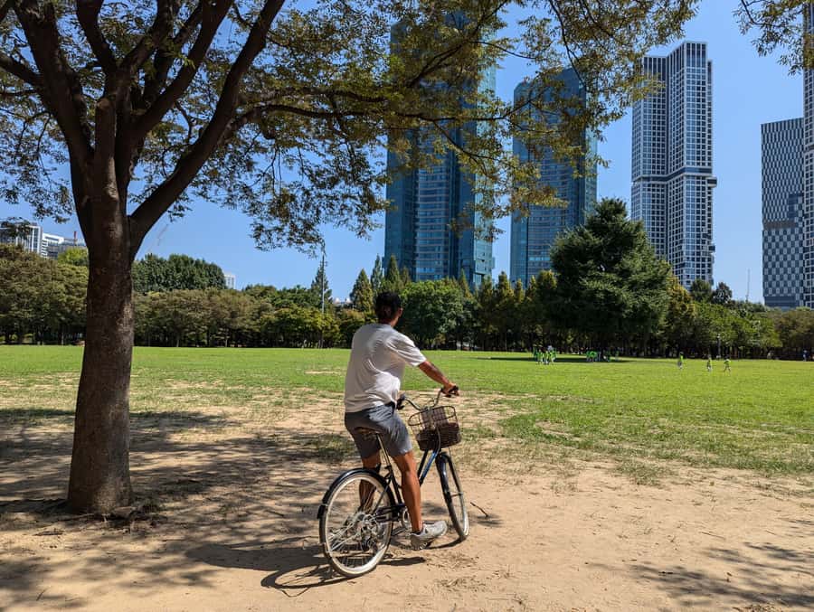 Seoul: Morning Bike Tour along the Han River with a Local - FAQs