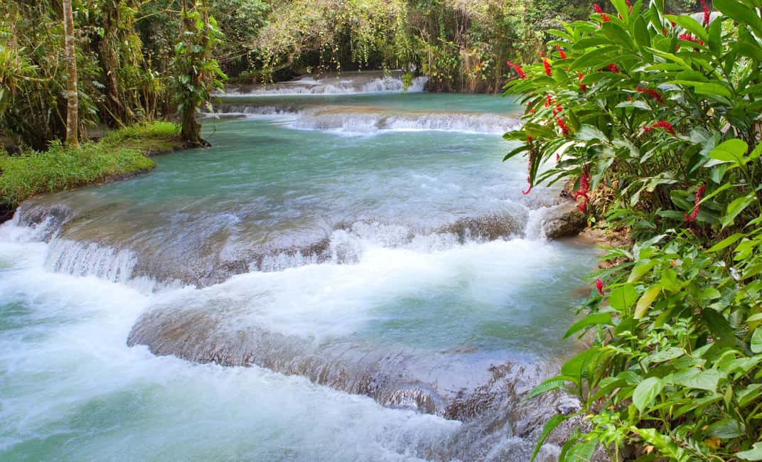 Bob Marley Birthplace and Dunns River Falls Private Tour - An In-Depth Look at the Tour Experience  