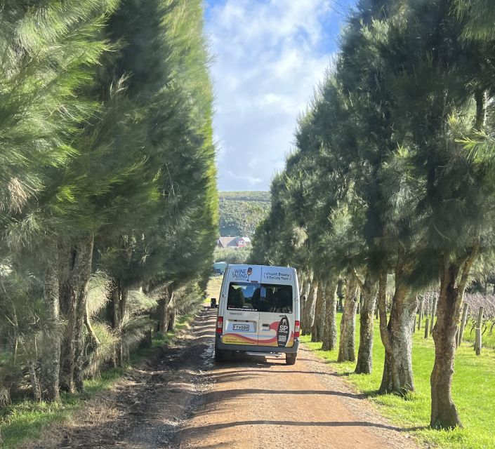 From Auckland: Waiheke Island Wine Cellar Tour - An In-Depth Look at the Waiheke Island Wine Cellar Tour