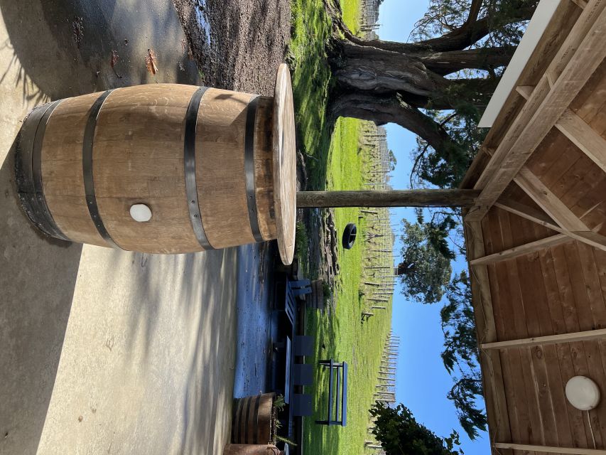 From Auckland: Waiheke Island Wine Cellar Tour - The Itinerary Breakdown
