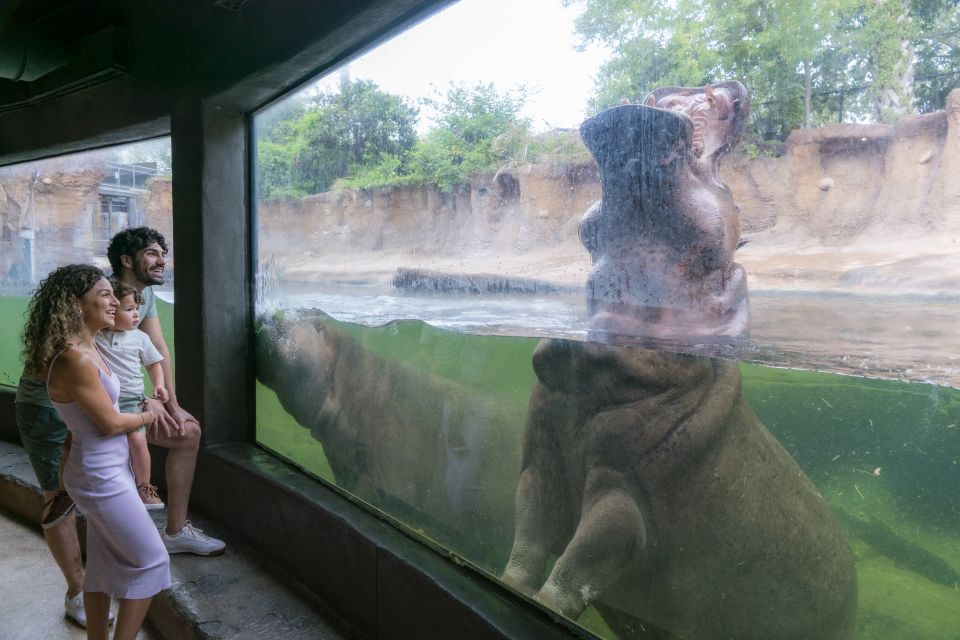 San Antonio CityPASS®: Save up to 51% on 4 Top Attractions - FAQs