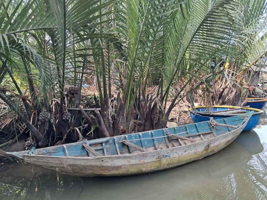My Son Sanctuary Morning & Early Morning w. Coconut Jungle - Good To Know
