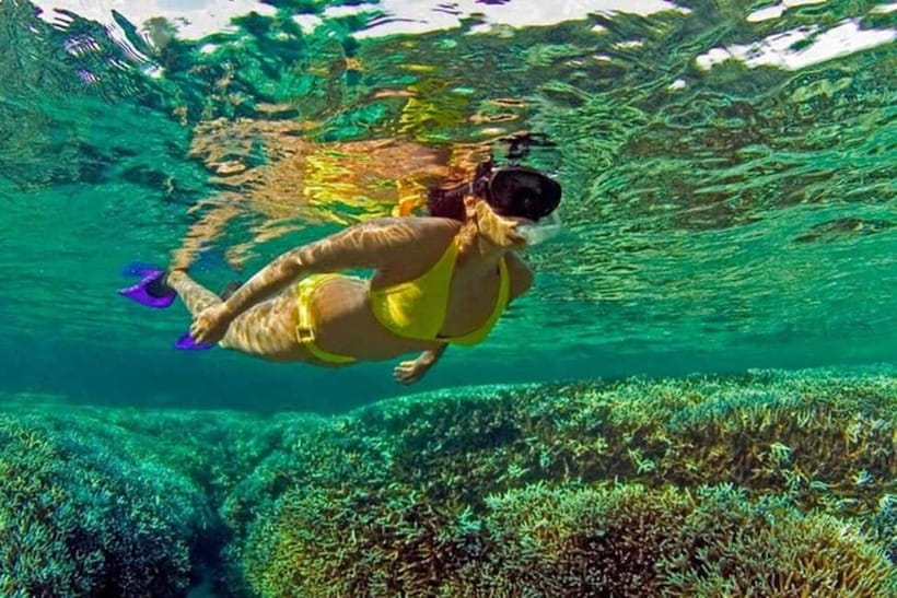 Snorkeling at Pigeon Island Trincomalee - What You Can Expect from the Tour