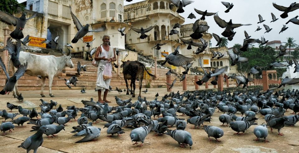 A Day Trip of Pushkar From Jaipur - FAQs