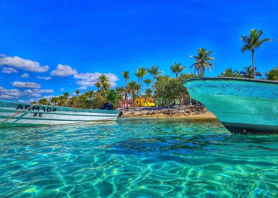 Punta Cana: Full-day Snorkelling Tour in Catalina Island - In-Depth Breakdown of the Experience