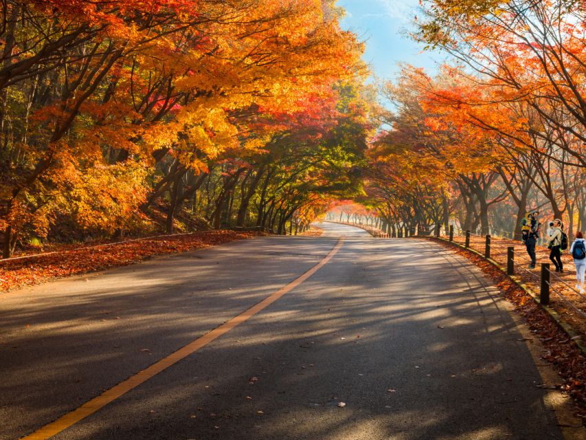 Seoul: Hwadamsup & Luge & Korea Folk Village One Day Tour - Frequently Asked Questions