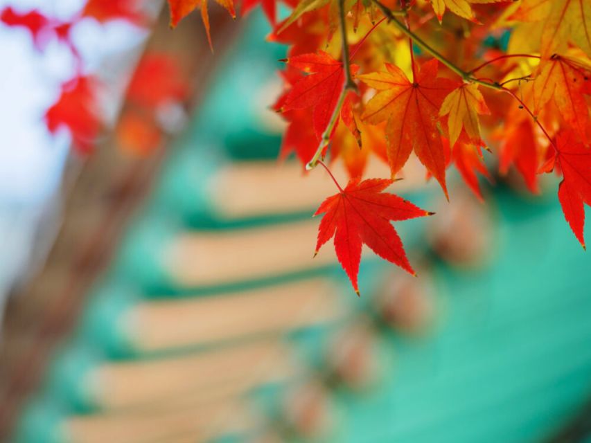 Seoul: Hwadamsup & Luge & Korea Folk Village One Day Tour - Final Thoughts: Who Will Love This Tour?