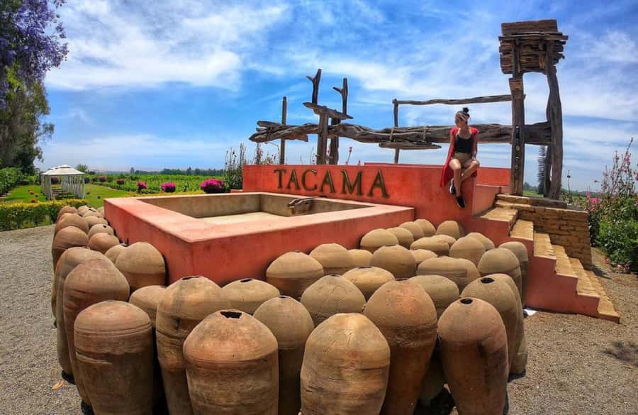 Ica: Pisco Wineries and Vineyards Day Tour - Practical Details and Tips